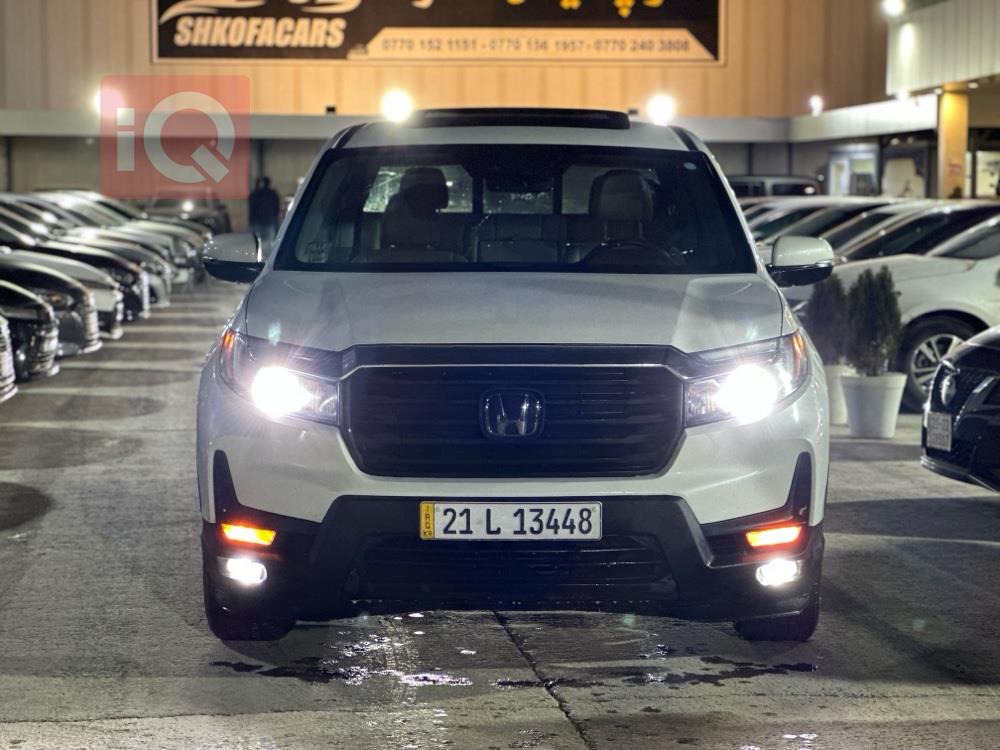 هوندا رجلاین